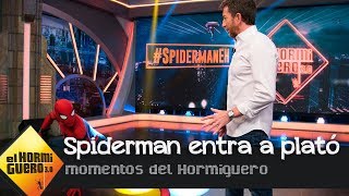 La increíble entrada de Tom Holland como Spiderman a plató - El Hormiguero 3.0