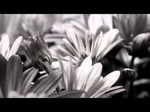 PROGRAMA 161: Cap. XVII do Evangelho Segundo o Espiritismo: Os superiores e os inferiores