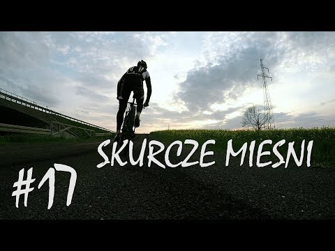 Osłona tkanki łącznej, obejmujące cały mięsień I kompleks treningu mięśni