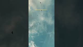 Download lagu kaalangathale song in tamil lyrics #trendingshorts #viralsorts #lovesong #lyric #tamilsong #trend mp3