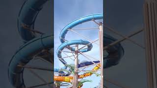 Icon of the Seas: Expectativa vs Realidad 2026 en TODOS los Cruceros🚢 #shorts