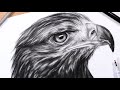 How to Draw Feathers: Drawing a Realistic Eagle Head