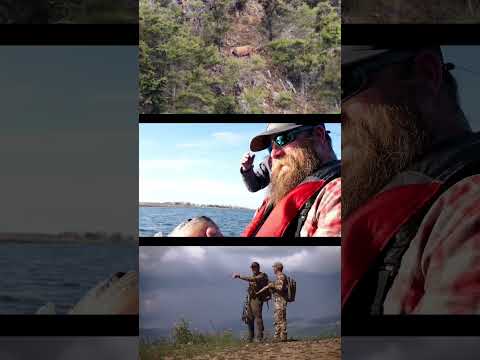 Epic Hunts and Fishing Adventures on Wild TV
