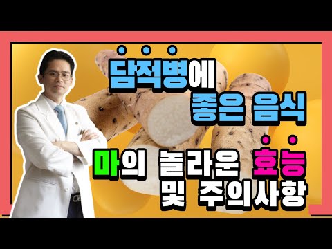 담적병에좋은음식 마의 효능과 복용주의사항 (담적보감⑬)