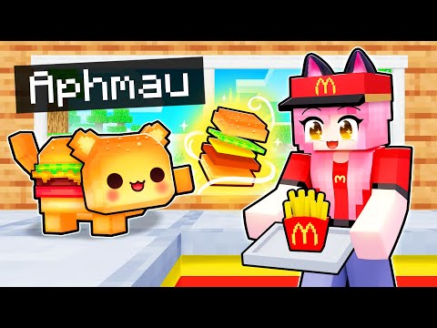 Minecraft Chaos: Aphmau's HELPFUL Cheeseburger Kitten!