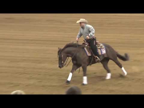 Magnums Guns R Reddy ridden by Dany Tremblay  - 2017 NRBC (Open Finals, Sec. 2)