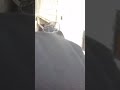 FZ S Bike Riding