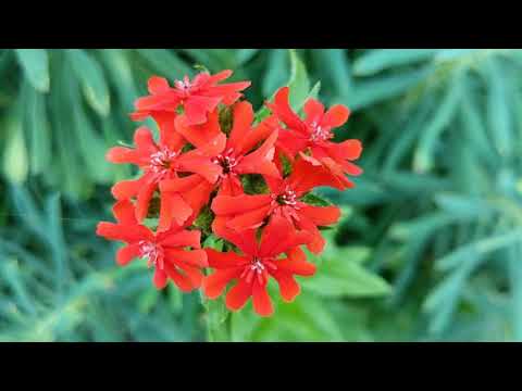 Walking through Walthamstow Village again