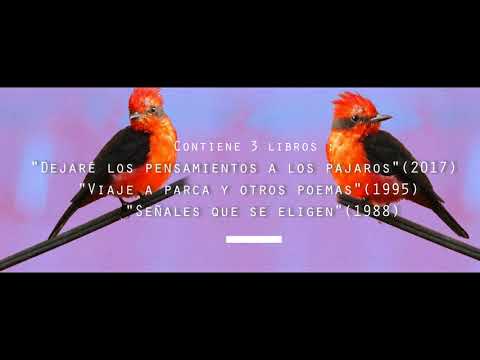 Poesía reunida Luz Maria