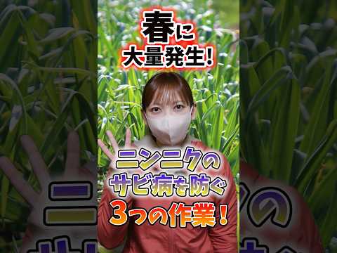 2022年の家庭菜園に最適なマルチは何ですか