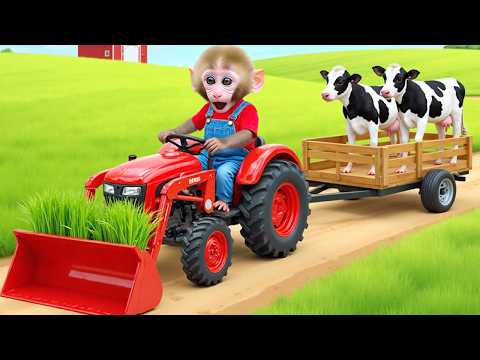 Monkey Nana drives a homemade tractor with a puppy and suddenly has an unexpected tire blowout