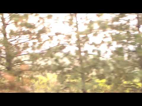 2018 Canada yaz tatili Calgary Alberta Canada ve British Colombia(59)