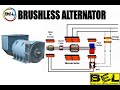 Brushless alternator working at Basic Electrical Learning