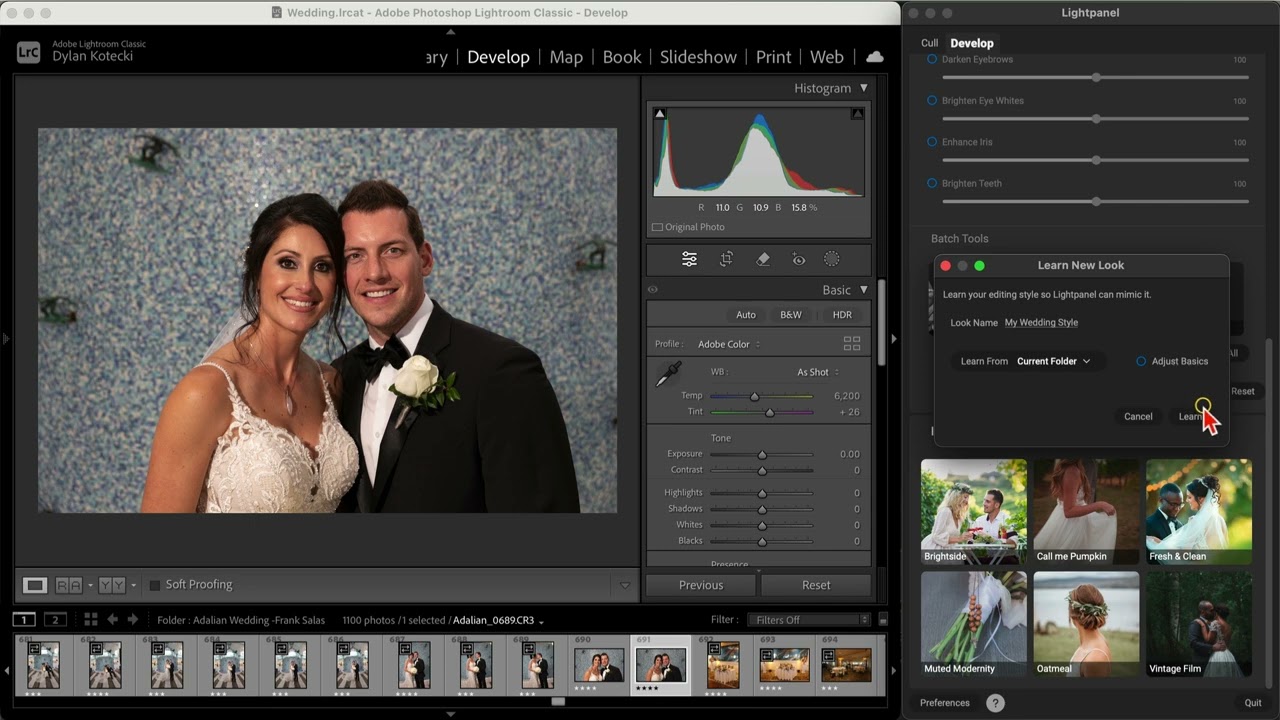 Lightpanel Tutorial: Create Smart Looks from Your Edits