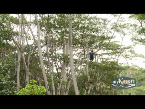 Kauai Zipline Activity Spotlight with Koloa Zipline