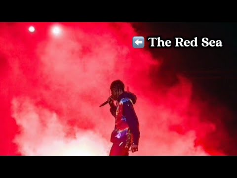 Is Your Music Restructuring Your Body? The Hidden Impact of Sound on You