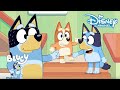 Bluey | Papadag | Disney Channel NL