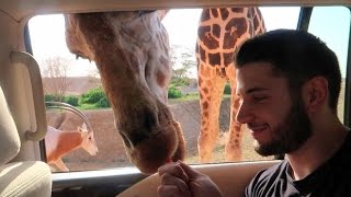 I GOT TO FEED A GIRAFFE!