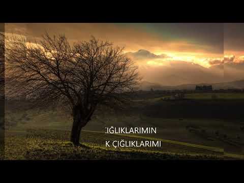 EŞRAF & AKIN AHZAR (DONUK)