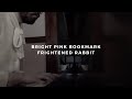 bright pink bookmark: frightened rabbit (piano rendition by david ross lawn)