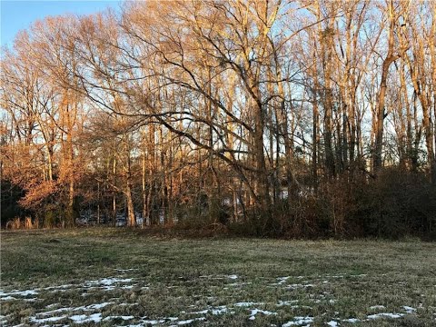 Homes for sale - 169 GREAT ELLIS LANE, AUBURN, AL 36830