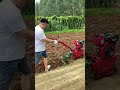 Mini Plow Machine SHORTS