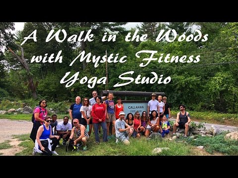 A Hike in the Woods with Mystic Fitness Yoga Studio