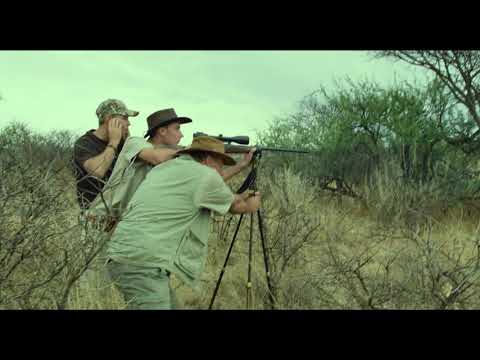 SAFARI - zwiastun PL