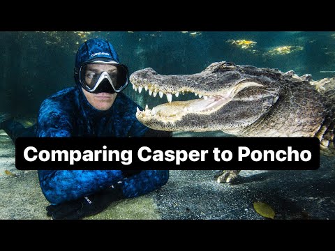 Comparing Casper to Poncho