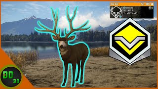 The Last of the NonTypical Diamond Mule Deer! Call Of The Wild