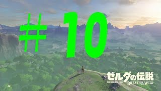 #10ゼルダの伝説ブレスオブザワイルドマスターモードをのんびり実況！