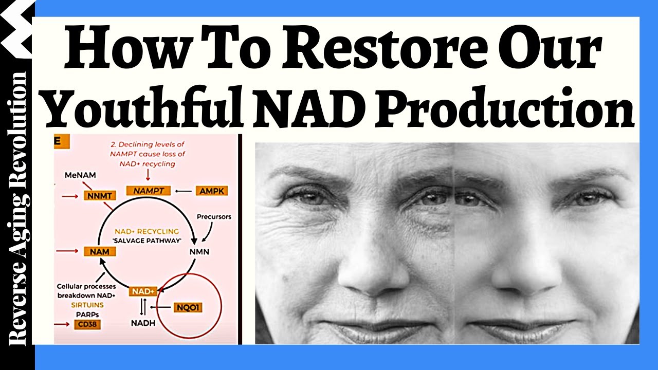 A MORE Effective Approach To Restore Our NAD Levels??