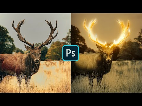 Photoshop Tutorial Hollow Head Effect In Photoshop Photo Manipulation Tutorial