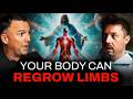 The Science Of Miracles Quantum Neurology Cellular Healing Frequencies W Chris Cormier