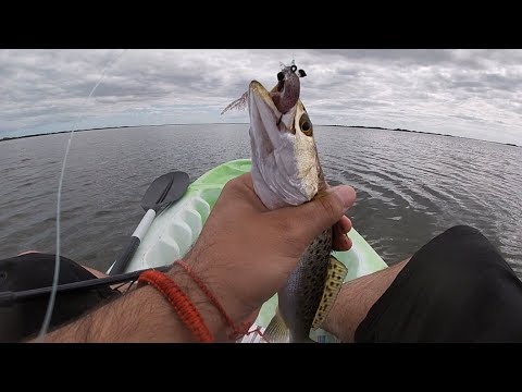 S5:E1 Pescando Corvinas en la Ría de Chelem | Monster 3x | X-Move