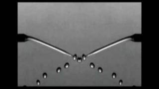 weeping willow (grandaddy)