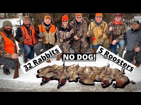 YouTube video about: How to hunt rabbits without a dog?
