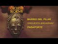 Barrio Del Pilar 👩🏻‍🦰- Orquesta Broadway [Cover Audio]