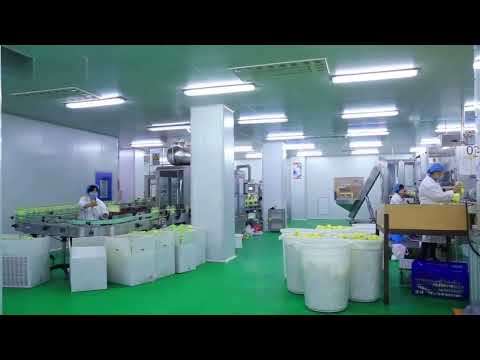 Factory overview video — Weifang Guanghua detergent OEM factory tour
