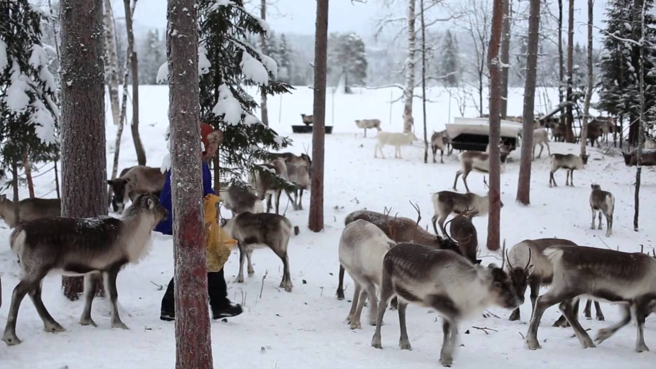 Reindeer herders, GIS and land use planning