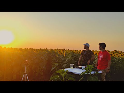 Avicii, Kygo, Martin Garrix, Swedish House Mafia, Coldplay, RÜFÜS DU SOL, MEDUZA - 2SURVIVORS Mix