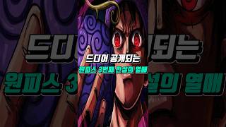 [원피스] 드디어 공개되는 마지막 전설의 악마의열매 피에 물든 붉은 뱀
