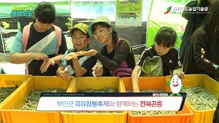 부안군 유유참뽕축제와 함께하는 전북곤충