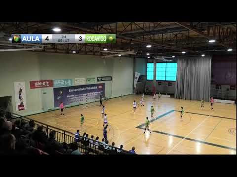 DIVISIÓN DE HONOR PLATA | AULA VALLADOLID - BALONMANO SAR RODAVIGO