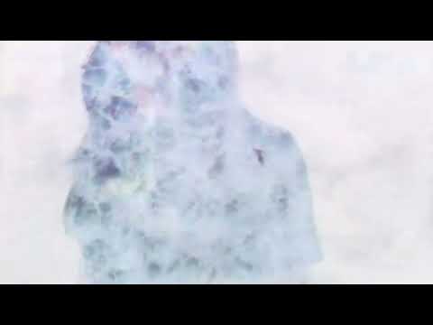 En la playa guaracha, Marcos Rodriguez feat Estela Martin , Bass dj el murcielago del mix