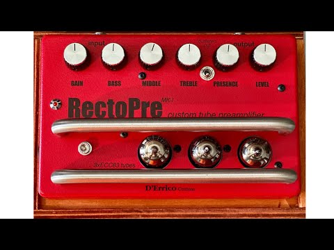 Immagine D'Errico Custom RectoPre (Mesa Boogie Dual Rectifier preamp inspired) - 9