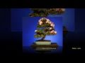 Kitaro  -  WINTER   WALTZ    MP4