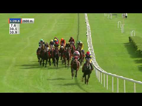 19.07.2020 (D20; G5; Tor: 3,2; 28°C) Nagroda Prezesa Totalizatora Sportowego – L (kat. A)