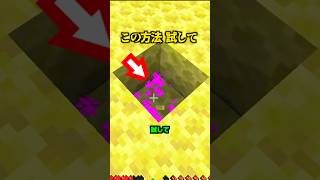エンドラ討伐、この方法試して【マイクラ】
