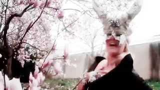 Princess Superstar - The New Evolution